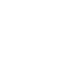 S4 1